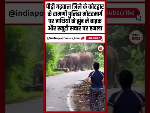 पौड़ी गढ़वाल जिले के कोटद्वार के रामणी पुलिंडा मोटरमार्ग पर हाथियों का बाइक और स्कूटी सवार पर हमला I