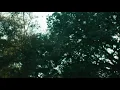 j cole wet dreams ( official music video)