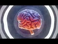 Wooli x Tape B - Dopamine [Official Lyric Video]