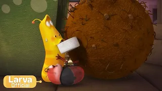 Tomato | 토마토 | Animation Compilation | Larva Tuba | Official