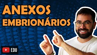 Anexos Embrionários - Aula 05 - Módulo VI: Zoologia | Prof. Guilherme