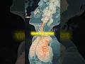 THC DETOX TAKES HOW LONG