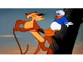 Download Lagu Donald Duck \u0026 Chip and Dale -  Donald Duck lion attack - Cartoons for Children TV series !!!