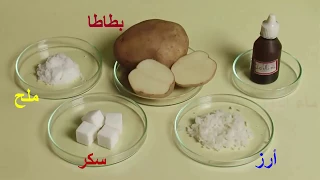 تجربة الكشف عن النشأ في الأطعمة الكاشف ماء اليود 