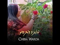 ندابزو ونتروجو