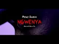 Download Lagu Prince Shadow - Ngwenya (Official Music Video)
