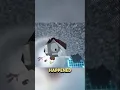 What Happened To Rob After Gumball Ended