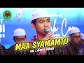 Download Lagu Bikin Candu‼️Maa Syamamtu - Voc. Dimas Ismail || Gandrung Nabi Terbaru