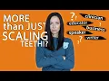 Different Job Opportunities As A Dental Hygienist