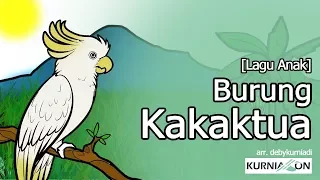Menonton Burung Kakatua Video Gratis Hatkara
