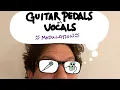 Guitar Pedals on Vocals Modulation Effects Chorus Vibrato Flanger Etc