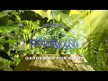 Download Lagu Gardening For Birds