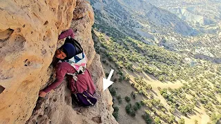 Kulthum S Impossible Mission In The Mountains Battle On Deadly Cliffs To Save The Lost Sheep 