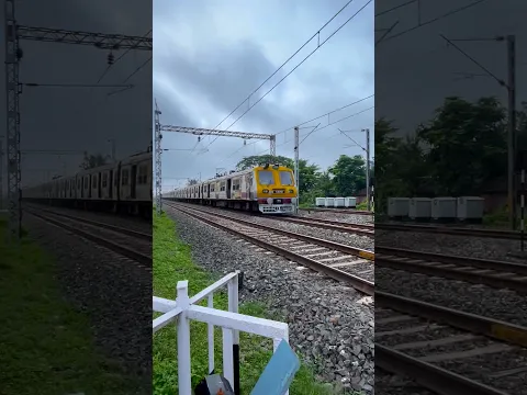 Furious Aerodynamic Emu at Railgate #shorts