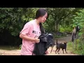 Full Video: The Story of Veteran Ha Duc and His Daughter – A Mother Searches for Her Long-Lost Child