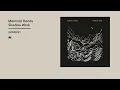 Mammal Hands - Shadow Work (Official Album Video)