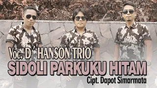 Download D'Hanson Trio - Sidoli Parkuku Hitam (Official Music Video) MP3