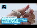 Download Lagu Ministério da Saúde reforça a importância da vacinação contra a febre amarela