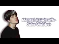 Mental Handcuffs (Lyric Video) Jake Webber