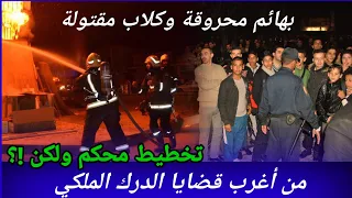 الحلقة294 تخطيط محكم ولكن من أغرب قضايا الدرك الملكي تحريات كيفاش حصل قصص بوليسية مغربية لغز تحري 