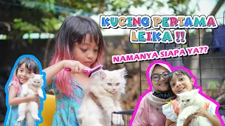 Download LEIKA PUNYA KUCING BARU, NAMANYA SIAPA YA MP3