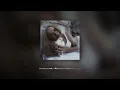 Freak Slug - If I Could (Slowed + Reverb)