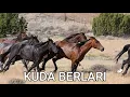 Download Lagu suara KUDA BERLARI