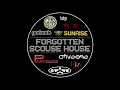Pulsatronix ft Danielle - Wrap Me Up In Your Love (Lee S Remix)