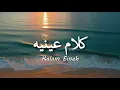 Download Lagu ( ya lel ya leli) Kalam Eineh - Sherine  / شيرين - كلام عينيه  ( lirik arabic \u0026 latin + terjemahan )