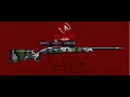 Long range hunting rifles - Champion Arms Texas