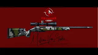 Long range hunting rifles - Champion Arms Texas