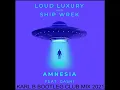 Loud Luxury & Ship Wrek Ft. Gashi - Amnesia ( Karl B Bootleg Club Mix )