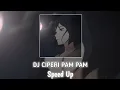 Download Lagu DJ CIPERI PAM PAM SPEED UP
