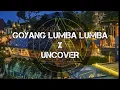 Download Lagu DJ Goyang Lumba Lumba X Uncover DJ Slow Viral Terbaru 2021