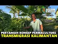 Download Lagu PULUHAN JENIS TANAMAN DI LAHAN PAK YATNO, PETANI TRANSMIGRASI ASAL PACITAN  DI SP10 KALIMANTAN UTARA