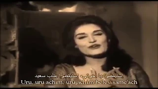 Hava Nagila הבא נגילה هافا ناجيلا 