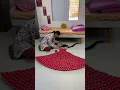 Beautiful Wall Decor