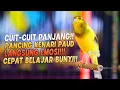 Download Lagu Kenari GACOR CUit Cuit Ngerol |1| AMPUH utk PANCINGAN KENARI Paud AGAR CEPAT BELAJAR BUNYI Ngeriwik