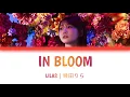 Download Lagu Lilas (幾田りら) - In Bloom (百花繚乱 English Version) Lyrics Video [Kan/Rom/Eng]