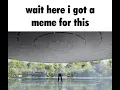 wait here i got a meme for this