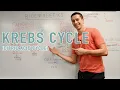 Krebs Cycle Explained