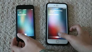 Siri Meets Siri 