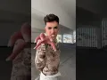 James Charles - Hi Sisters