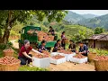 Lagu Harvesting 500+ Red Rambai Fruits From Highland Farmers Go to Market Sell | Tieu Hue Daily 