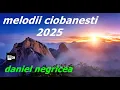 Download Lagu Melodii ciobanesti 2025  ♥️  Daniel Negricea  ♥️  [ Domn' Profesor Danciu ]