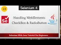 Handling CheckBoxes And RadioButtons In Selenium Selenium WebDriver Tutorial For Beginners