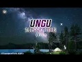 Download Lagu Ungu - selamat tidur (lirik)