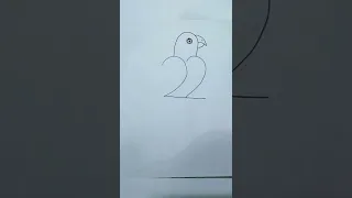 Easy parrot Drawing