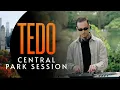 Lagu Tedo — Late Autumn Set at Central Park  | Downtempo / Organic / Afro / Melodic House