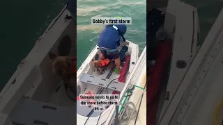 It’s not easy to be boat dog ! #sail #sailboat #boatdog #dog #storm #florida #portlandpudgy